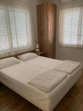 zimmer sara miron